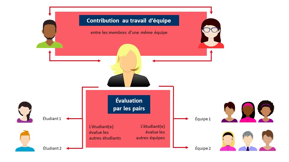 Schéma illustrant la contribution au travail d'équipe en tre les membres de l'équipe puis l'évaluation par les pairs