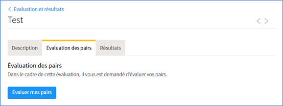 Capture d'écran indiquant l'onglet d'évaluation des pairs